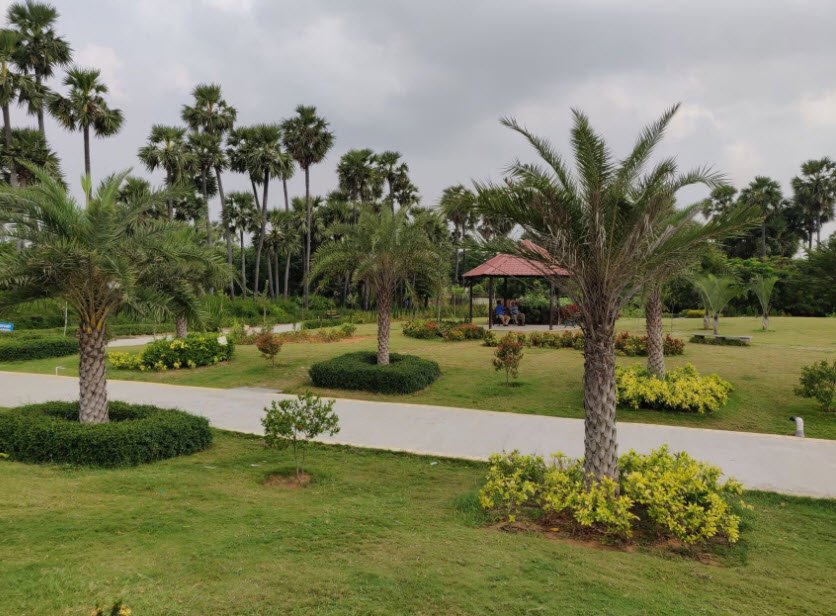 Madhavaram Botanical Garden, Chennai, India